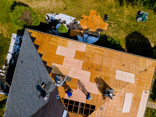Best Flat Roof Repair Services  in Bristol, FL