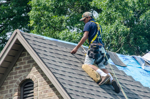 Residential Roof Replacement in Bristol, FL